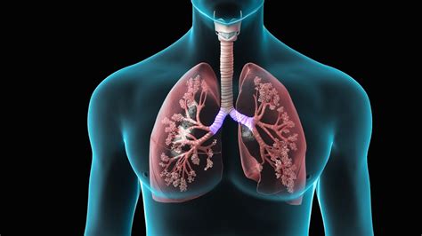 Spirometry Test for Lung Function - YouTube