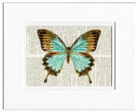 Butterfly Vintage Butterfly Aqua Blue And Brown By Fauxkiss 1000