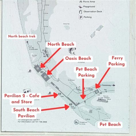 Honeymoon Island State Park: Local's Guide - Suncoast Family Fun