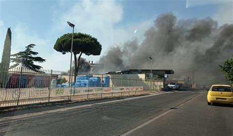 Pomezia Torvaianica Spaventoso Incendio Sulla Via Del Mare Le Fiamme