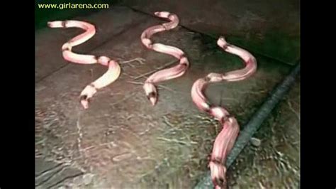 3d Hentai Ritual Hard Fuck Underground xxx Videos Porno Móviles Películas iPornTV Net