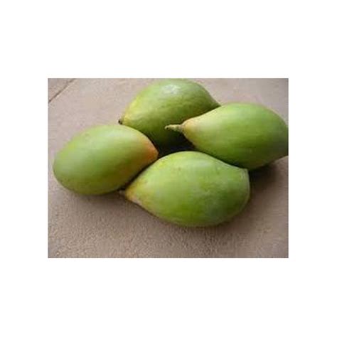 Totapuri Mango At Rs 15 Kilogram Dumlav Valsad ID 19219220030