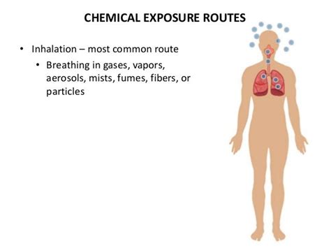 Signs and Symptoms of Chemical Exposure -- CSUEB