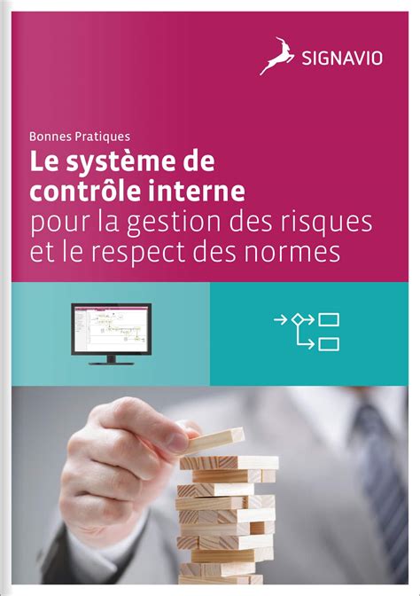 Bonnes Pratiques Le Système De Contrôle Interne Pour La Gestion Des