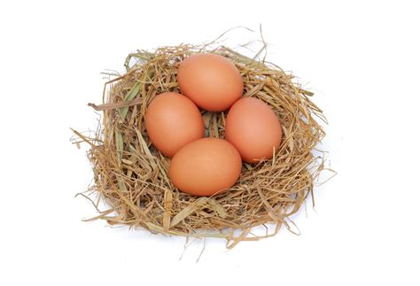 Chicken Eggs In The Nest Isolated On A White Background 3406386 Stock