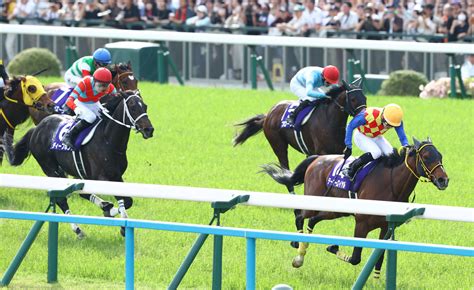 【天皇賞・春】菱田裕二騎乗・テーオーロイヤルが抜け出して、人馬ともにg1初制覇 競馬ニュースなら競馬のおはなし