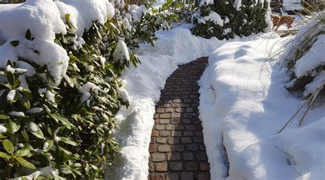 Winter Garden Ideas 25 Tips For A Stunning Wintertime Garden