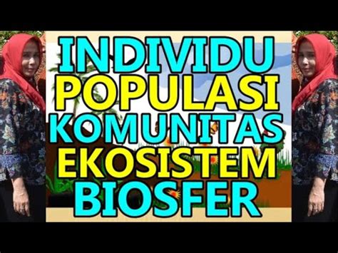 Satuan Ekosistem Biosfer Komunitas Populasi Individu Youtube