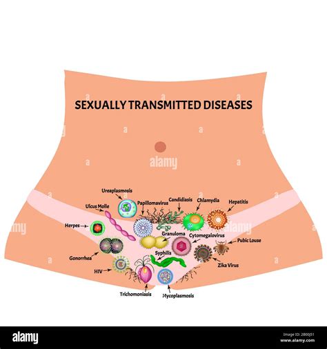 Bacteria Presentation Name On Emaze Clipart Wikiclipart Porn Sex Picture