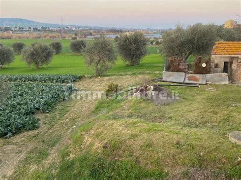 Terreno Agricolo Via Ascolana Alba Adriatica Rif