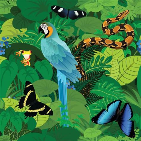 Amazon Rainforest Animals Cartoon