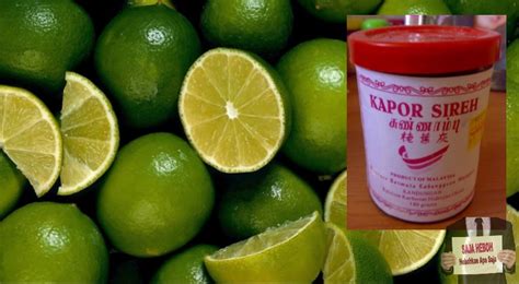 sajahebohcom malu  tanda hitam celah peha  pasangan