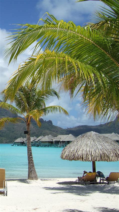 Bora Bora Beach Island Paradise Hd Phone Wallpaper Peakpx