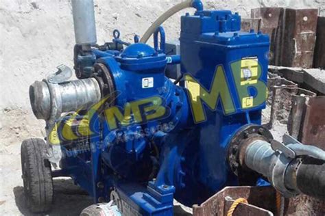 Wellpoint Dewatering Pumps Comprehensive Guide MB Exports