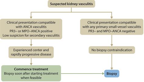 Kdigo 2023 Clinical Practice Guideline For The Management Of