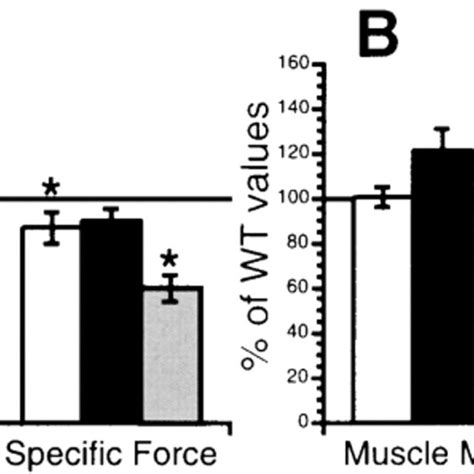 Contractile Properties Of EDL Soleus And Diaphragm Muscles In