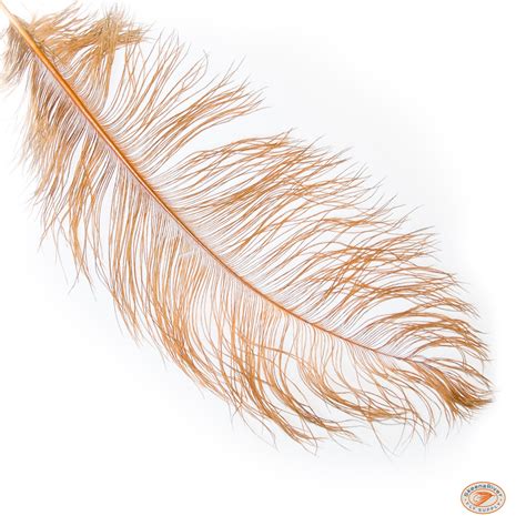 Ostrich Spey Feathers | Skeena River Fly Supply