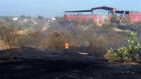 Tambogrande Incendio Forestal Arrasa Con Hect Reas De Pastizales