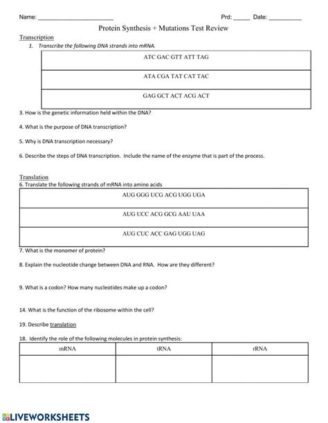 Protein Synthesis Practice Worksheet Practice Interactive Worksheet ...