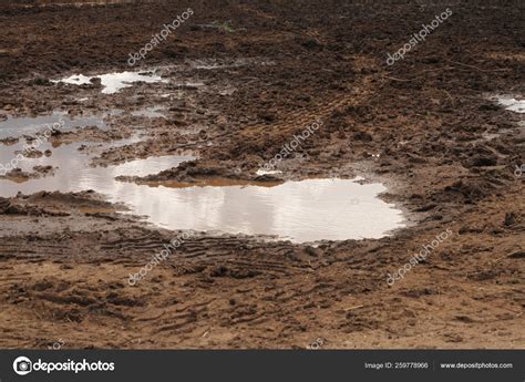 Brown Mud Puddle Ground — Stock Photo © notime57@gmail.com #259778966