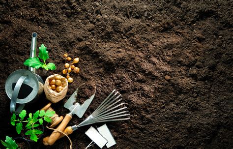 Les Outils De Jardinage Indispensables