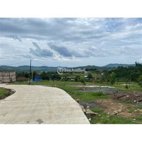 Dijual Tanah Kavling 1 000 M2 Di Nuansa Alam Puncak 2 Bogor Tribun