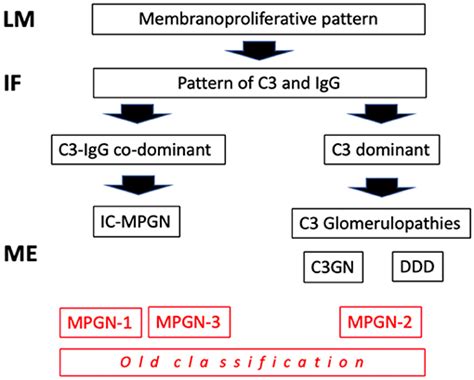 Membranoproliferative Glomerulonephritis Type 1