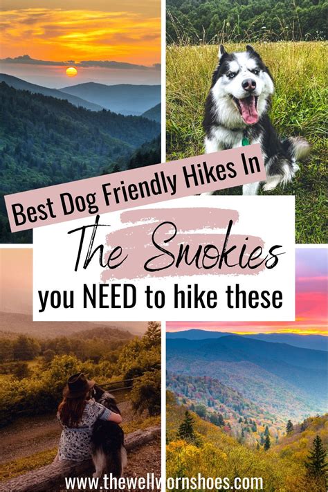 The Best Dog Friendly Hikes In The Smokies Artofit