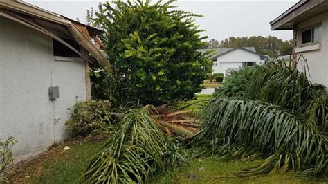 PHOTOS: Severe storm damage across Tampa Bay | wtsp.com