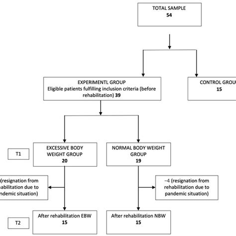 Participants Flow Diagram T1—condition Before Rehabilitation