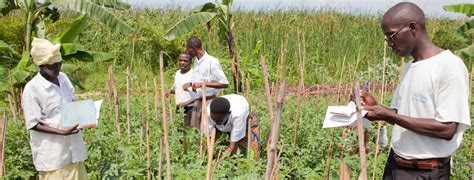 La Ciencia Centro De Conocimientos Sobre Agroecolog A Organizaci N