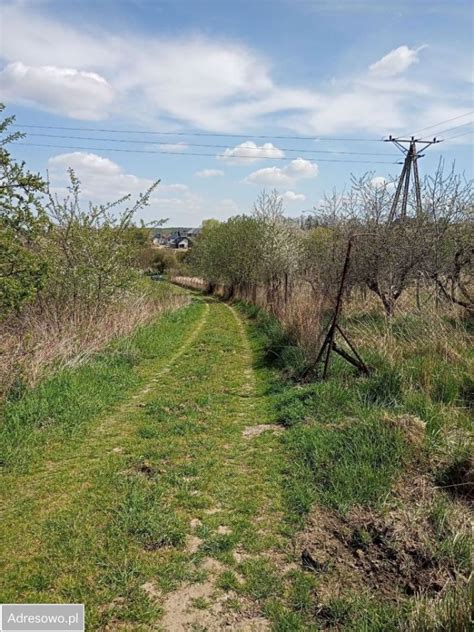 Działka Trzebnica ul Zielona bez pośrednika 1370 m2