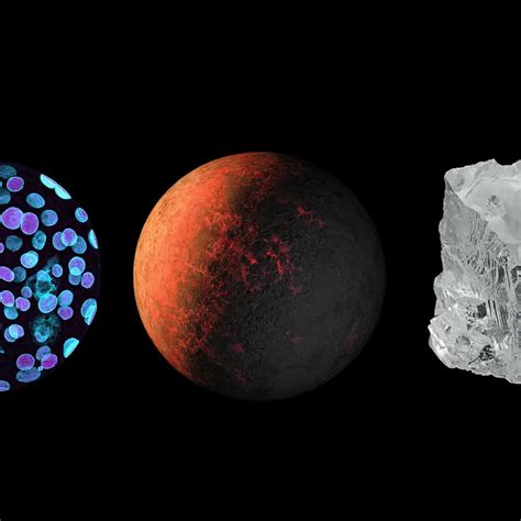 brand resources carnegie science