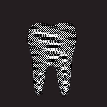 Primary Tooth Note Incisor Symbol Molar Vector Incisor Symbol Molar