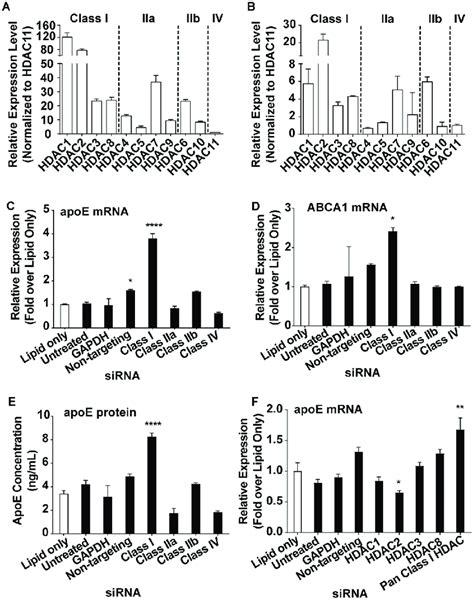 Pan Class I Hdac Knockdown Increases Apoe Secretion By Astrocytes