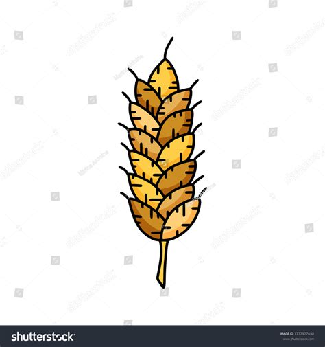 Grain Crop Doodle Icon Stylized Emblem Stock Vector Royalty Free 1777977038 Shutterstock