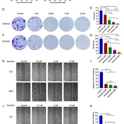 Anlotinib Induced Apoptosis And G M Phase Arrest Of Ovarian Cancer