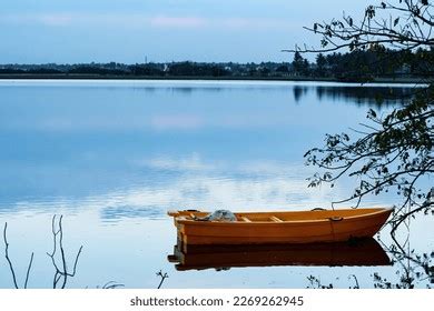 Hoskote Lake Photos and Images | Shutterstock