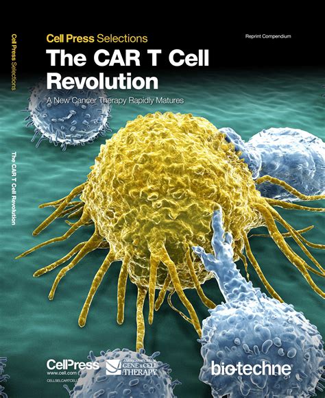 Cell Selections 2018: The CAR T Cell Revolution