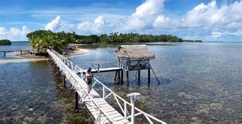 Marine Attractions Pohnpei Eco Adventure Guide