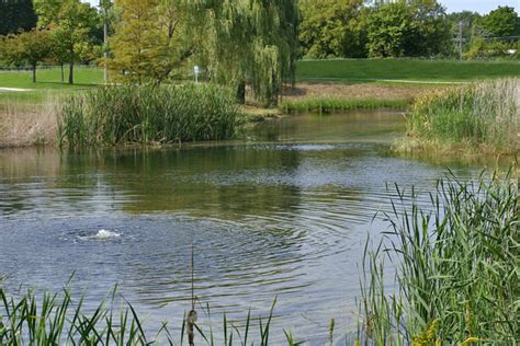 Prairie Lakes Park - Des Plaines Park District