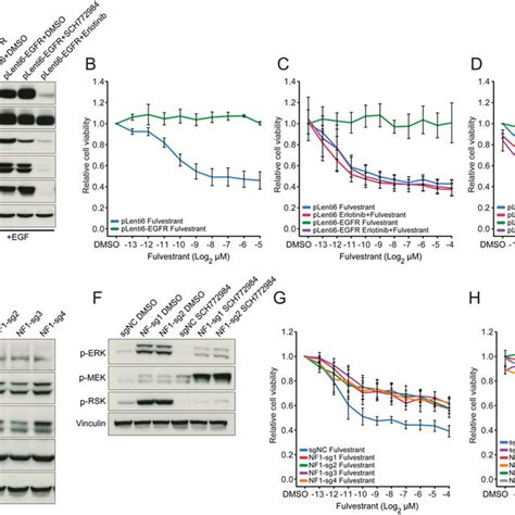 Functional Validation of MAPK Activation as Mechanism of Resistance to ...