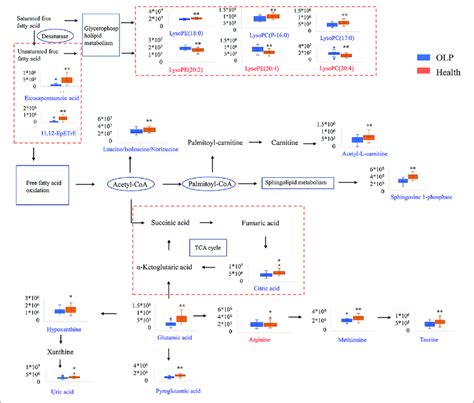 Metabolic Pathway Network Based On The Differential Metabolites