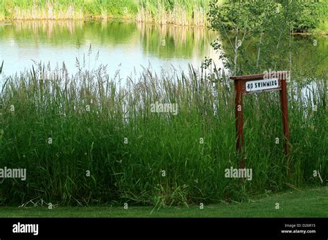 No Swimming Sign By Pond Stock Photo Alamy