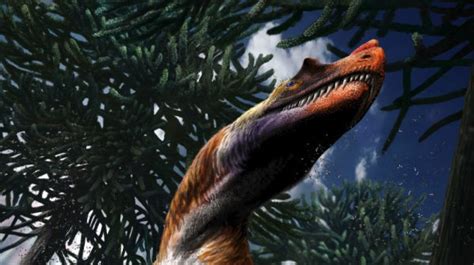 Ecco Saltriovenator Zanellai Il Nuovo Dinosauro Italiano Wired