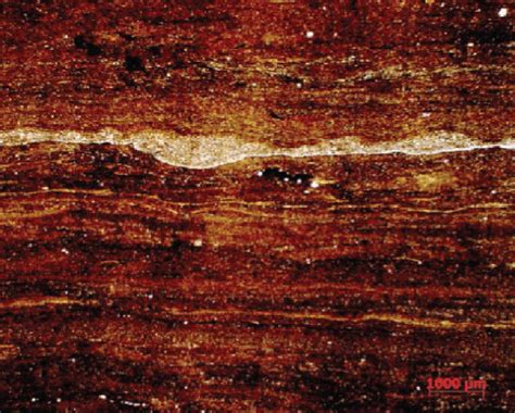 Micrograph Of Shale Lamina Types Of The Chang Member In Ordos Basin