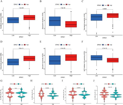 The Evaluation Of The Predictive Value Of Hif In Targeted Drugs And