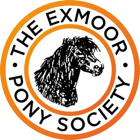 Moorbred Colt Foals | The Exmoor Pony Society