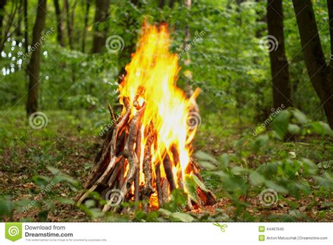 Bonfire In The Forest Stock Image Image Of Nature Fire 44467645