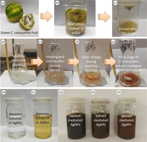 Upper Panel Different Steps During The Preparation Of Aqueous Extract